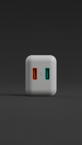 Dual-Port Adapter With Integrated Protection